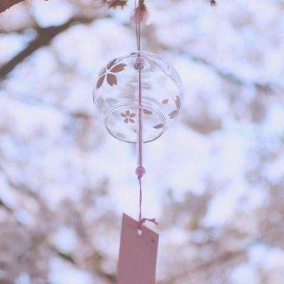 强闯中国驻日使馆不法之徒长相公开